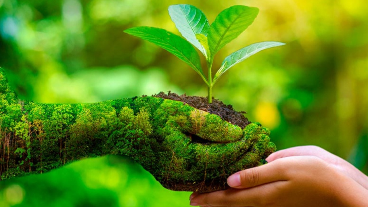 Hari Lingkungan Hidup Sedunia